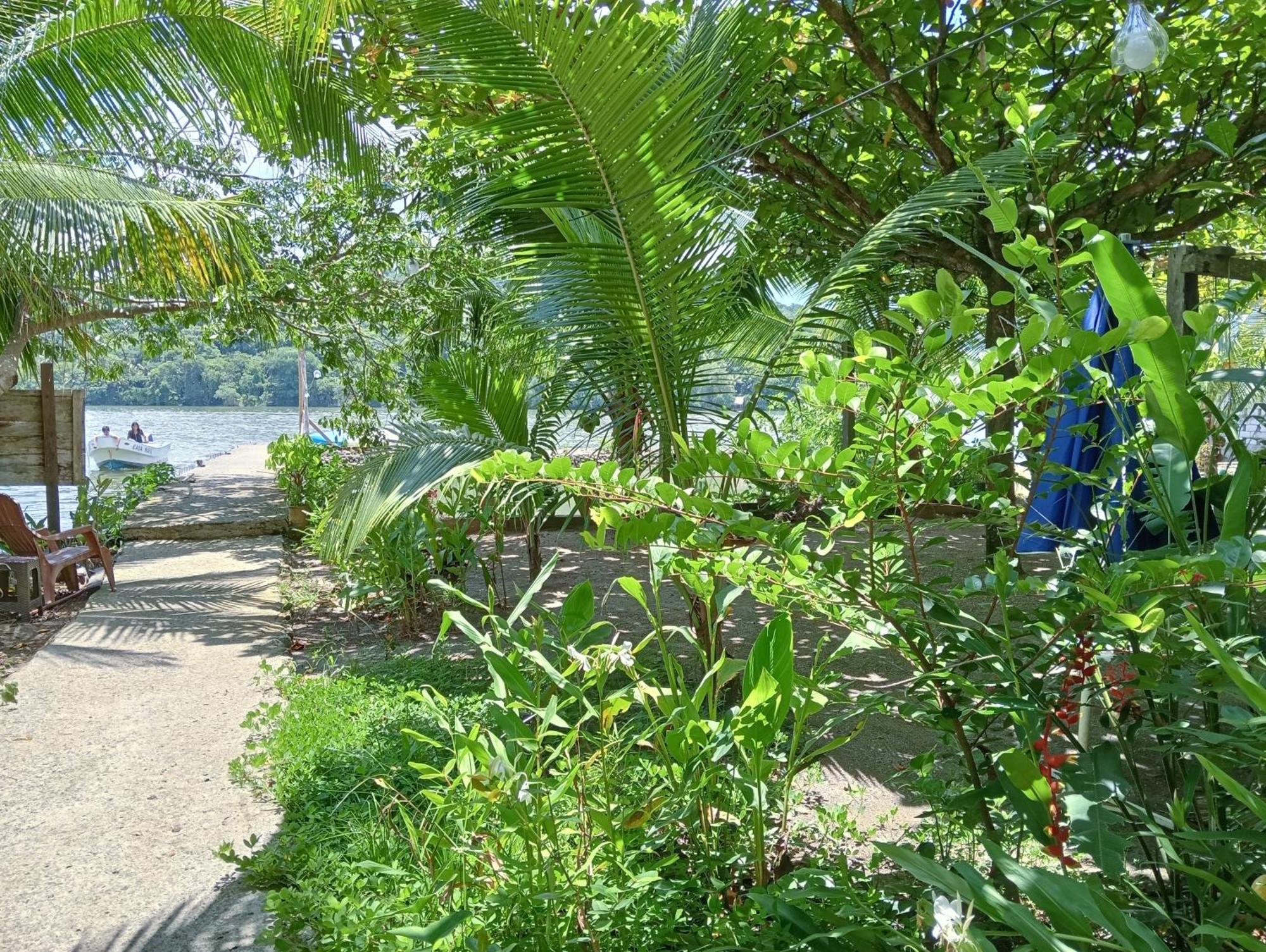 Casa Maya Lívingston Esterno foto