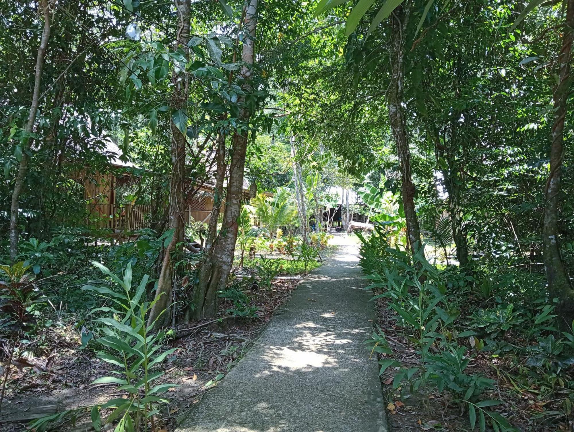 Casa Maya Lívingston Esterno foto